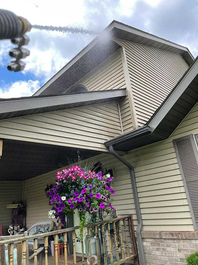 roof cleaning